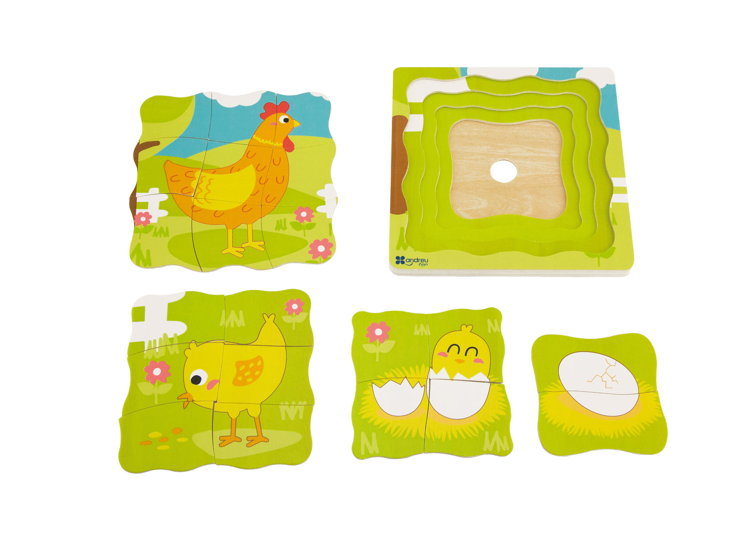 Puzzle Egg - Hen / Puzzle huevo - Gallina / evolución / encajes
