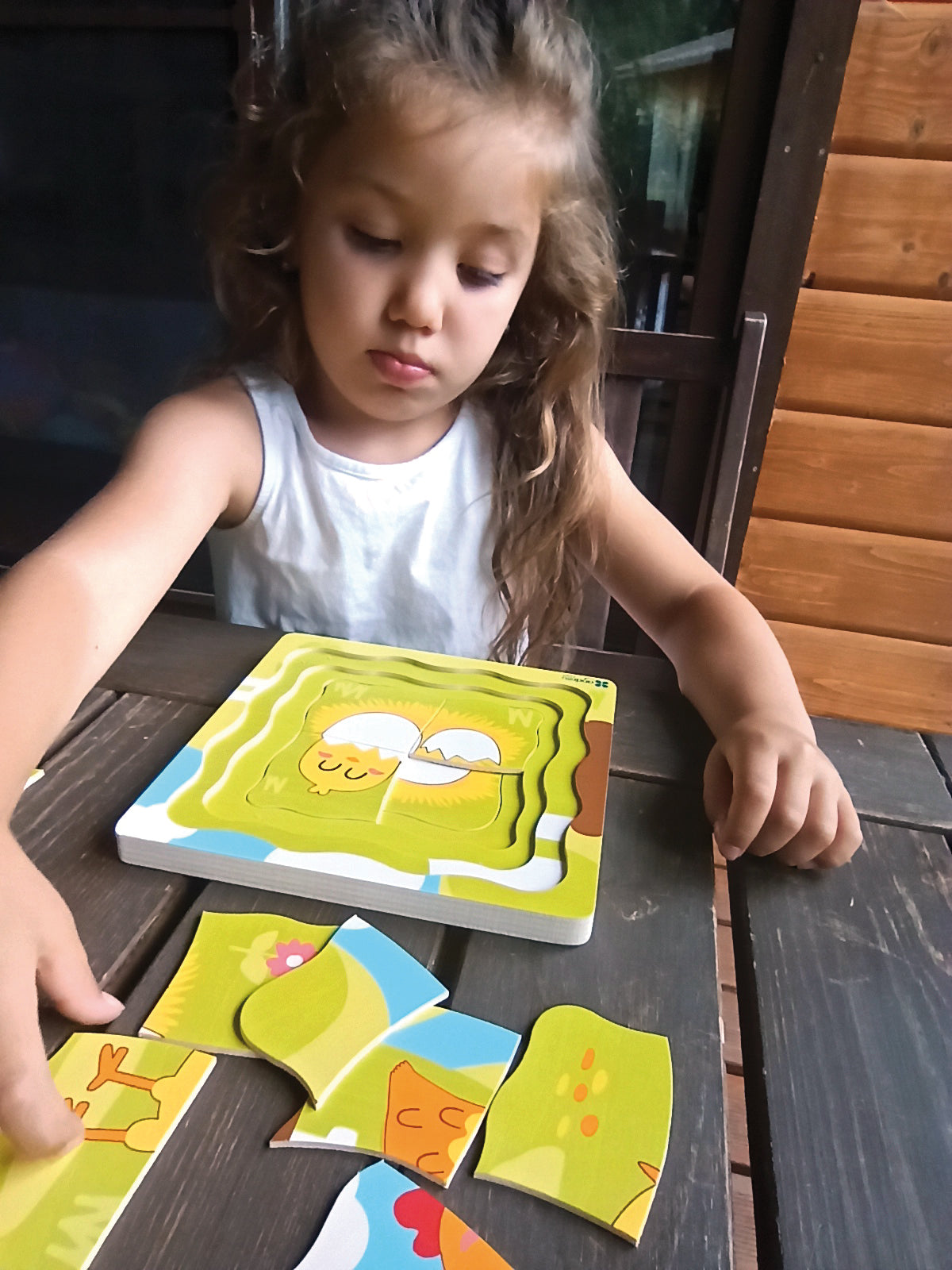 Puzzle Egg - Hen / Puzzle huevo - Gallina / evolución / encajes