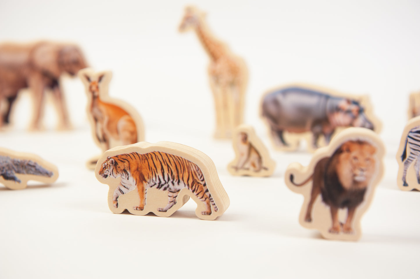 WILD PUZZLE / Rompecabezas salvaje / Encaje de madera de animales / Material didáctico con imágenes reales