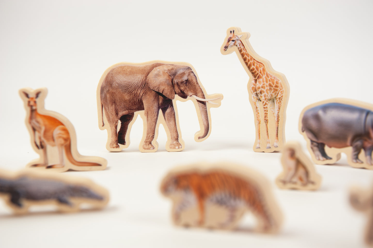 WILD PUZZLE / Rompecabezas salvaje / Encaje de madera de animales / Material didáctico con imágenes reales