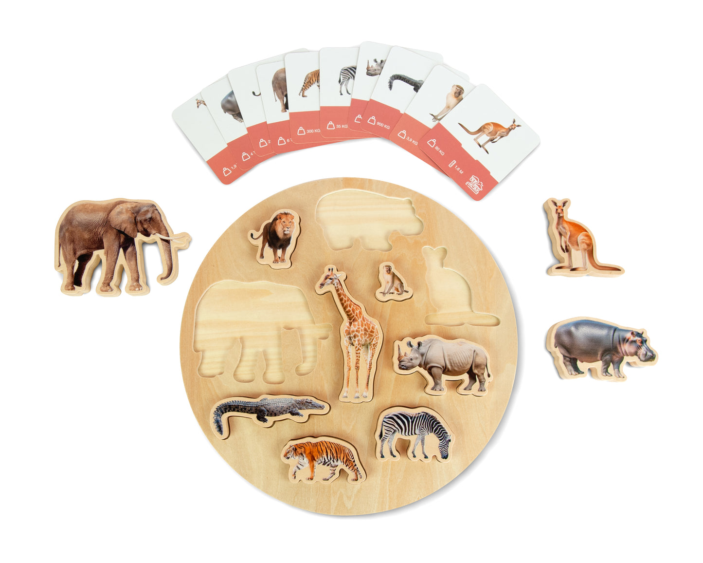 WILD PUZZLE / Rompecabezas salvaje / Encaje de madera de animales / Material didáctico con imágenes reales