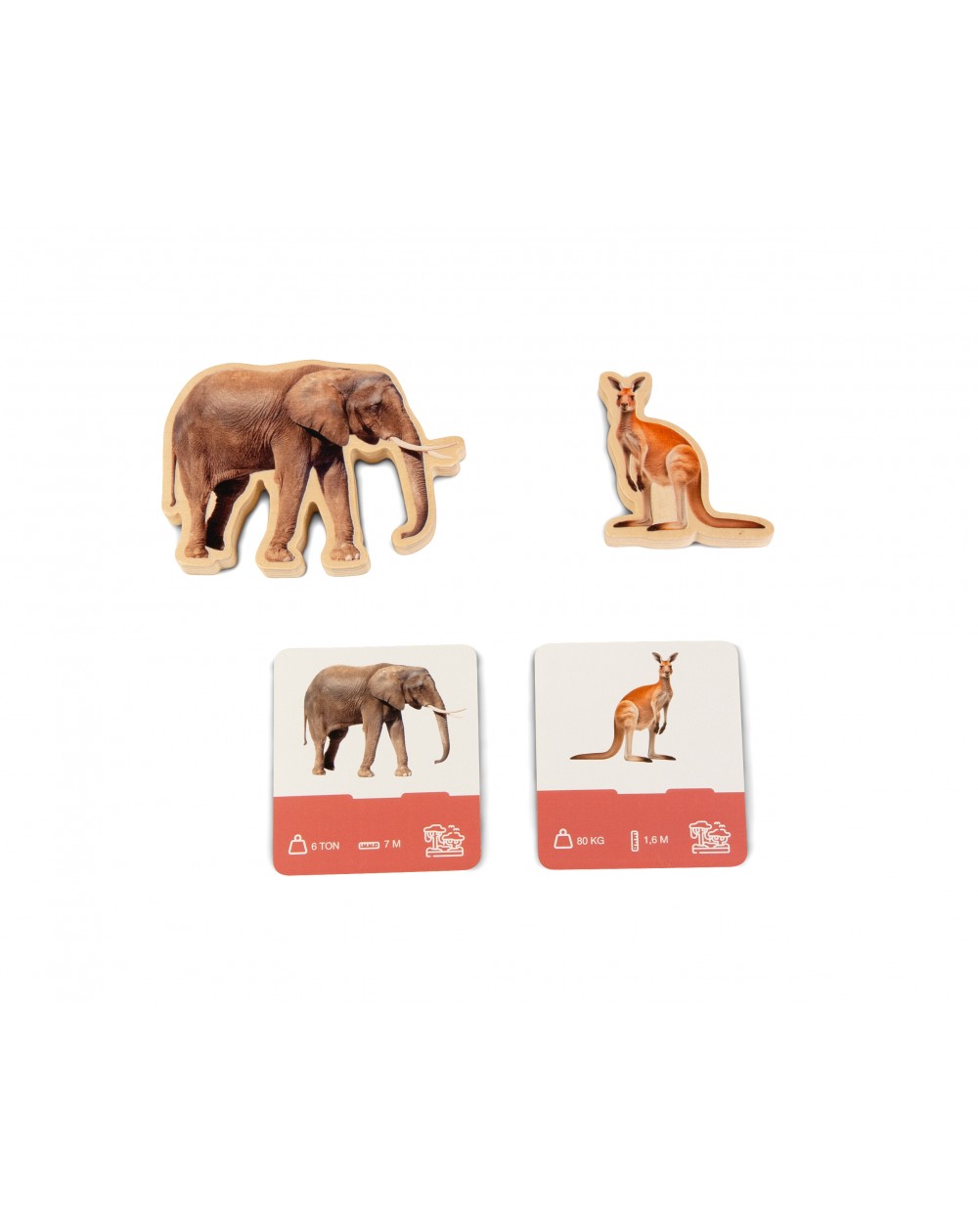 WILD PUZZLE / Rompecabezas salvaje / Encaje de madera de animales / Material didáctico con imágenes reales