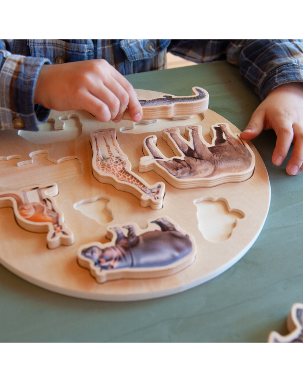 WILD PUZZLE / Rompecabezas salvaje / Encaje de madera de animales / Material didáctico con imágenes reales