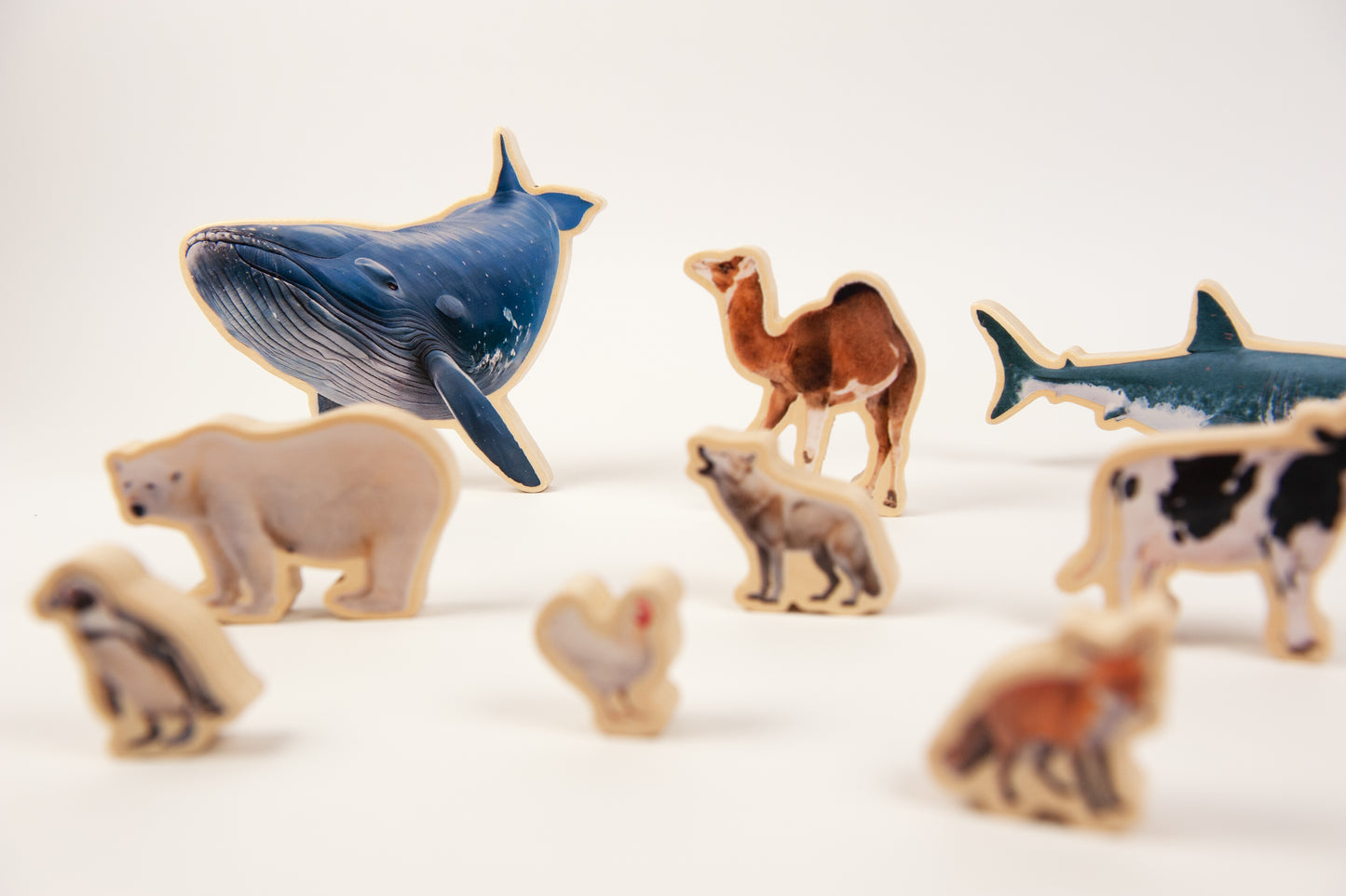 ANIMALS SIZE PUZZLE / Encaje de madera de medidas de animales / Material didáctico con imágenes reales