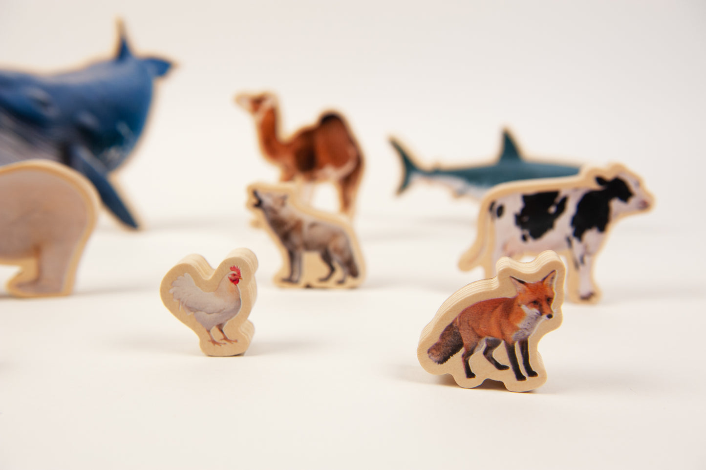 ANIMALS SIZE PUZZLE / Encaje de madera de medidas de animales / Material didáctico con imágenes reales