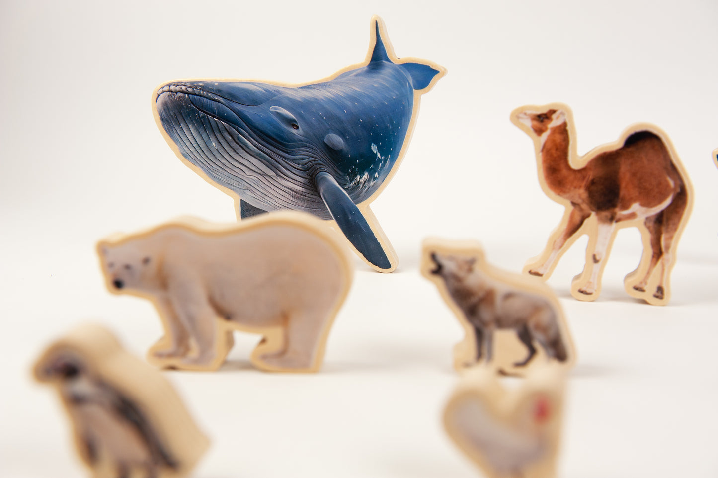 ANIMALS SIZE PUZZLE / Encaje de madera de medidas de animales / Material didáctico con imágenes reales