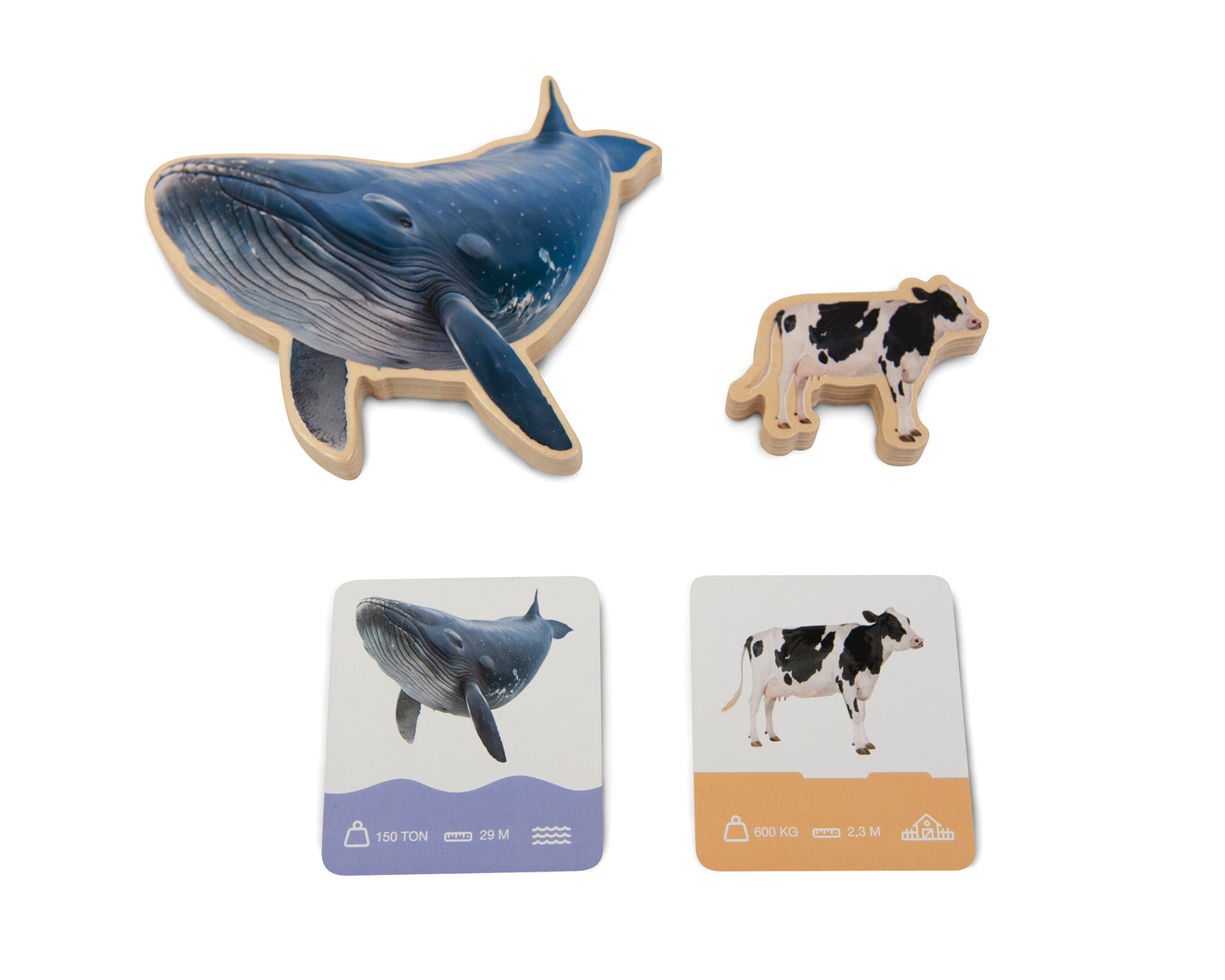 ANIMALS SIZE PUZZLE / Encaje de madera de medidas de animales / Material didáctico con imágenes reales