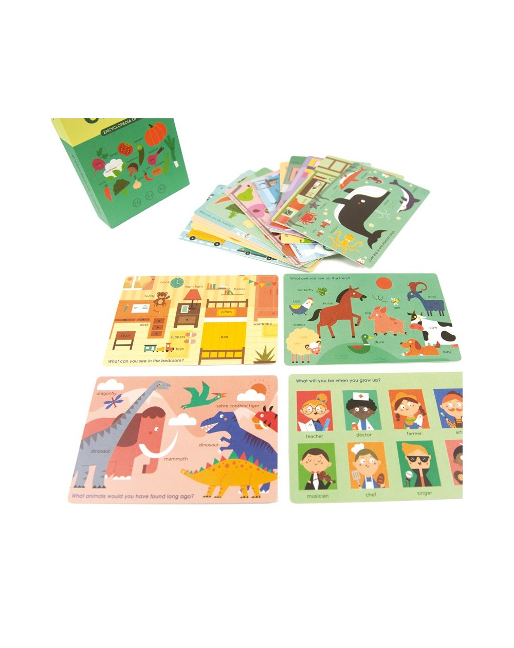 Cognitive Cards / Cartas cognitivas para aprender inglés - Encyclopedia Of Life