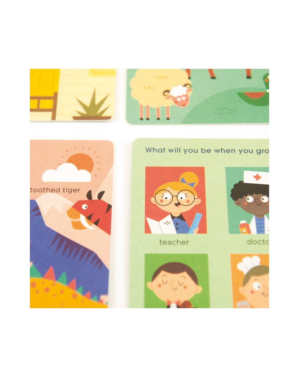 Cognitive Cards / Cartas cognitivas para aprender inglés - Encyclopedia Of Life