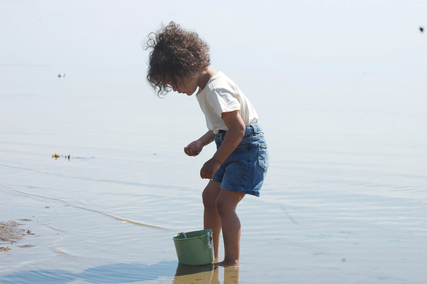 ECOLINE SAND BUCKET / playa y arena / arenero / cubo eco / caña de azúcar / cubo flexible