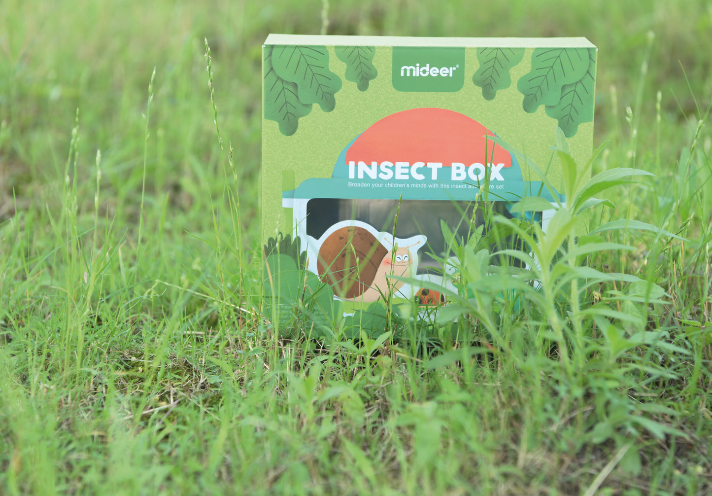 Insect Box / Caja de insectos