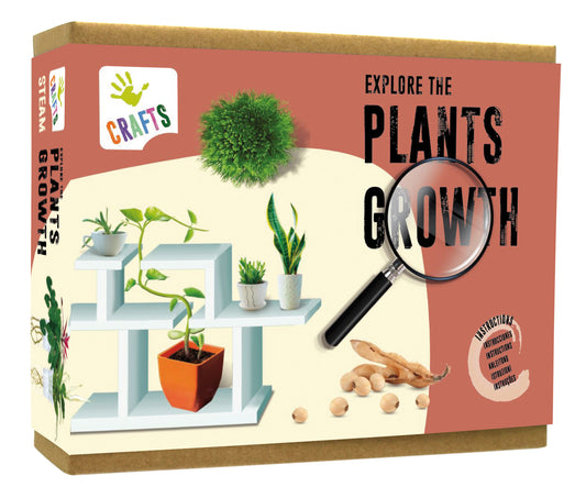 EXPLORE THE PLANTS GROWTH / DESCUBRE EL CRECIMIENTO DE LAS PLANTAS / manualidades / steam / stem / botánica /